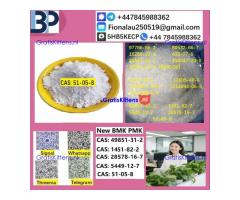 51-05-8 B.M.K P.M.K Procaine HCl raw materials