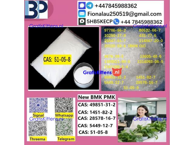 51-05-8 B.M.K P.M.K Procaine HCl raw materials