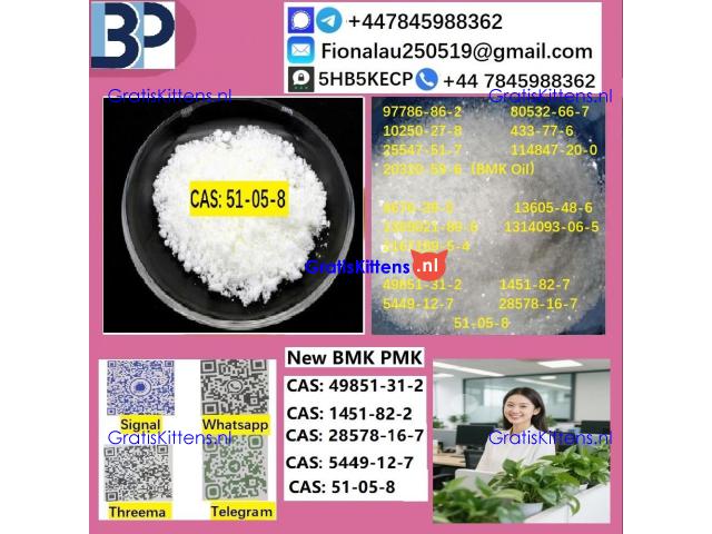 51-05-8 B.M.K P.M.K Procaine HCl raw materials