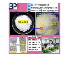 51-05-8 B.M.K P.M.K Procaine HCl raw materials