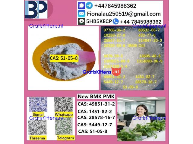 51-05-8 B.M.K P.M.K Procaine HCl raw materials