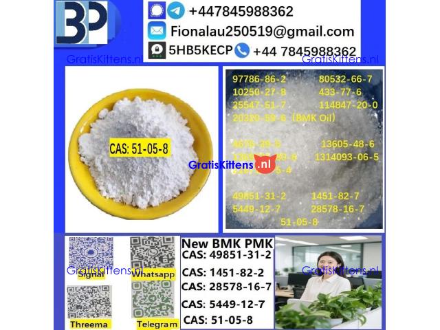 Cerata Procaine (Novocaine) Hcl Api Powder - Cas No: 51-05-8