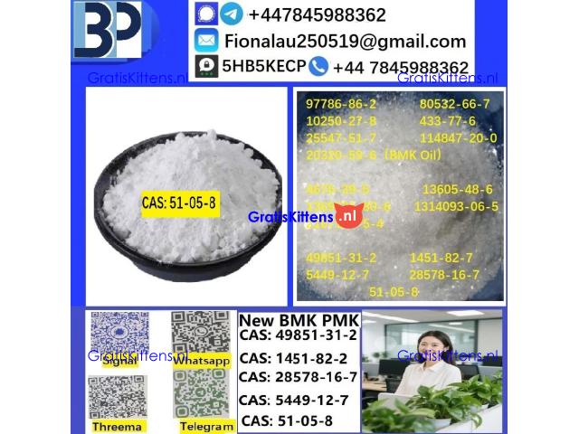 Cerata Procaine (Novocaine) Hcl Api Powder - Cas No: 51-05-8