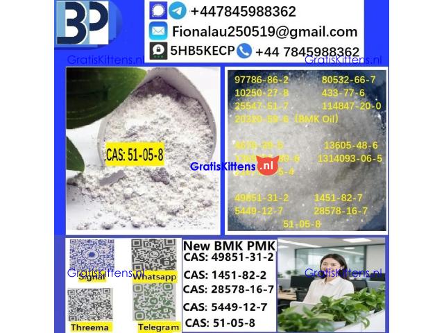 Cerata Procaine (Novocaine) Hcl Api Powder - Cas No: 51-05-8