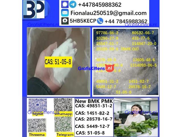 Cerata Procaine (Novocaine) Hcl Api Powder - Cas 51-05-8