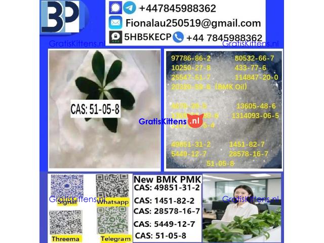 Cas 51-05-8 Cerata Procaine (Novocaine) Hcl Api Powder