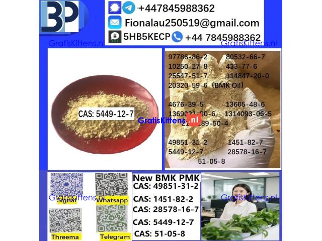 B.M.K Glycidic Acid (sodium salt) CAS 5449-12-7