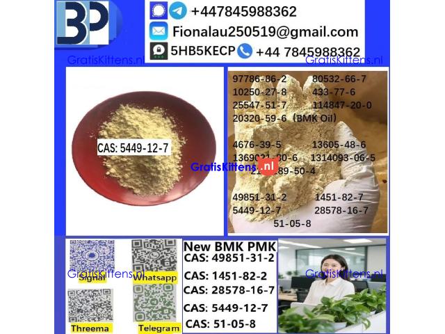 B.M.K Glycidic Acid (sodium salt) CAS 5449-12-7