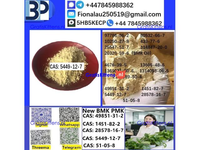 B.M.K Glycidic Acid (sodium salt) CAS 5449-12-7
