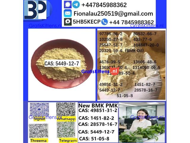 B.M.K Glycidic Acid (sodium salt) CAS 5449-12-7