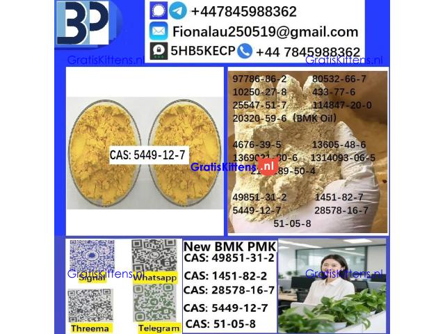 B.M.K Glycidic Acid (sodium salt) CAS5449-12-7