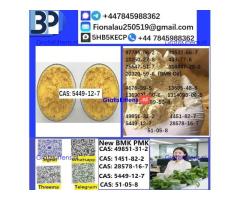 B.M.K Glycidic Acid (sodium salt) CAS5449-12-7