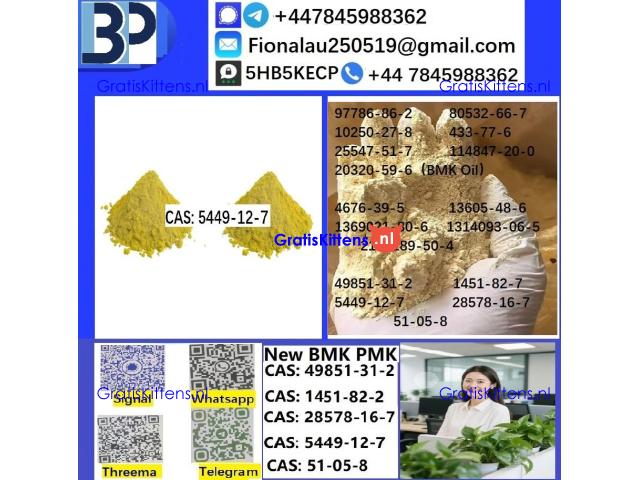 B.M.K Glycidic Acid (sodium salt) CAS5449-12-7