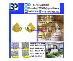 B.M.K Glycidic Acid (sodium salt) CAS5449-12-7