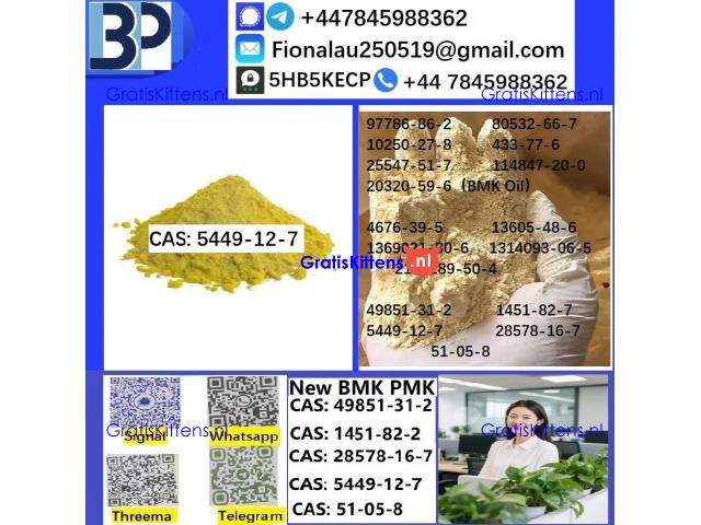 B.M.K Glycidic Acid (sodium salt) CAS5449-12-7