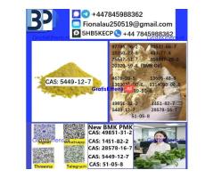 B.M.K Glycidic Acid (sodium salt) CAS5449-12-7