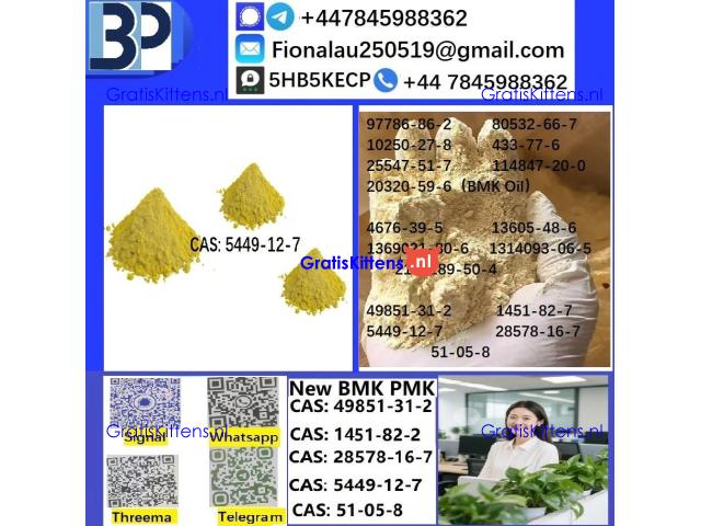 B.M.K Glycidic Acid (sodium salt) CAS5449-12-7