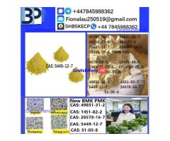 B.M.K Glycidic Acid (sodium salt) CAS5449-12-7