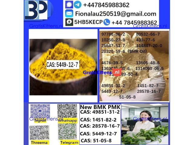 B.M.K Glycidic Acid (sodium salt) 5449-12-7