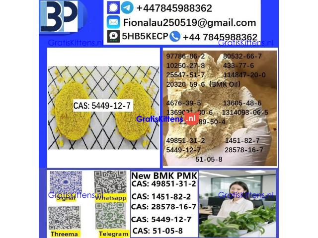 B.M.K Glycidic Acid (sodium salt) 5449-12-7