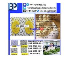 B.M.K Glycidic Acid (sodium salt) 5449-12-7