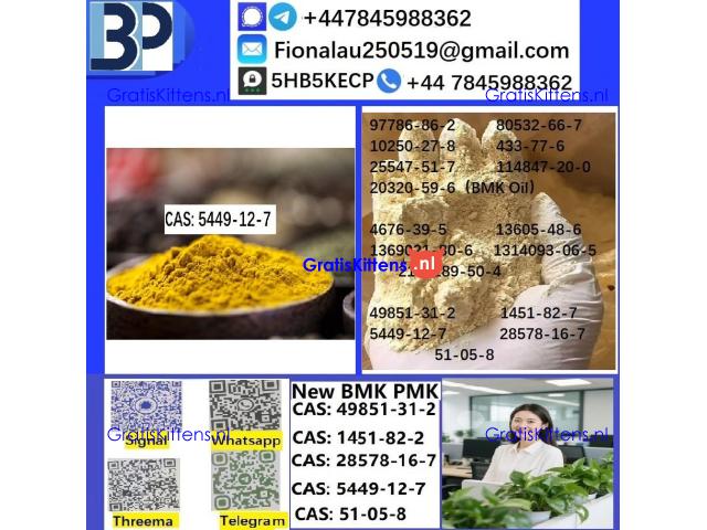B.M.K Glycidic Acid (sodium salt) 5449-12-7