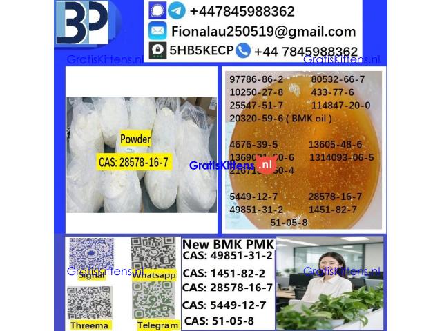 28578-16-7 B.M.K P.M.K Chemical raw materials