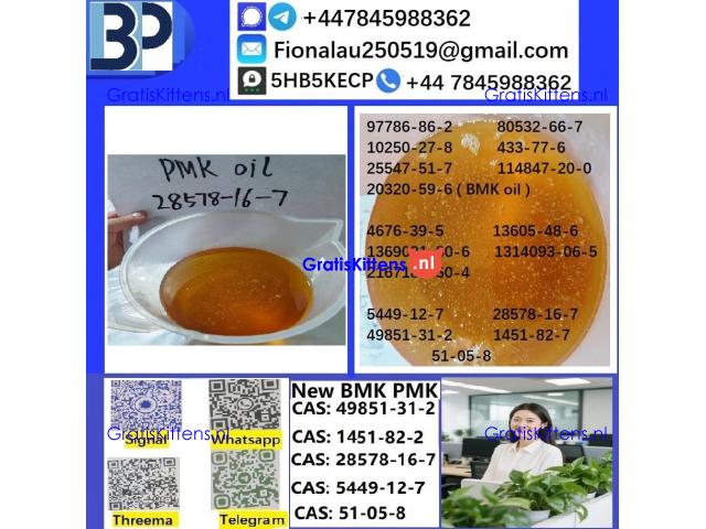 28578-16-7 B.M.K P.M.K Chemical raw materials