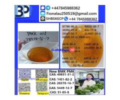 28578-16-7 B.M.K P.M.K Chemical raw materials