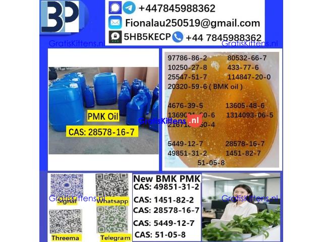 28578-16-7 B.M.K P.M.K Chemical raw materials