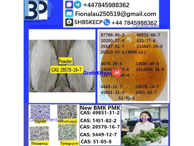 28578-16-7 B.M.K P.M.K Chemical raw materials