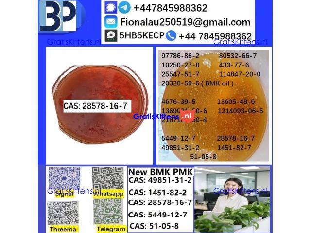 B.M.K P.M.K 28578-16-7 Chemical raw materials