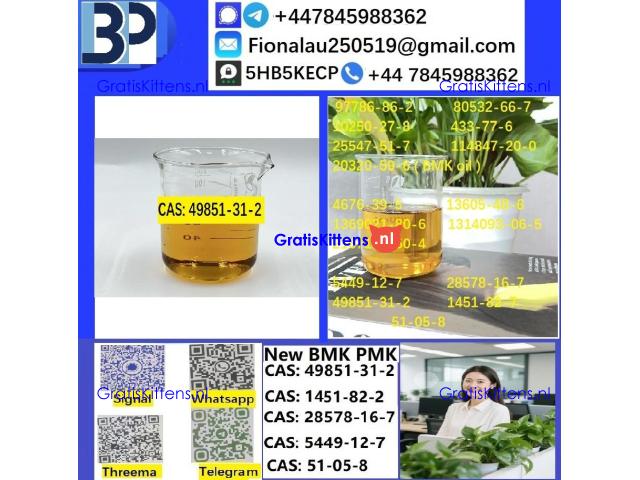 49851-31-2 B.M.K P.M.K Chemical raw materials