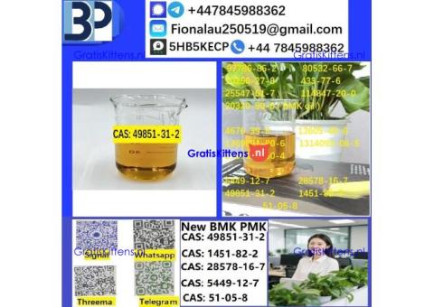 49851-31-2 B.M.K P.M.K Chemical raw materials