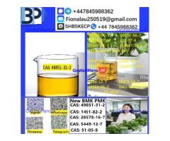 49851-31-2 B.M.K P.M.K Chemical raw materials