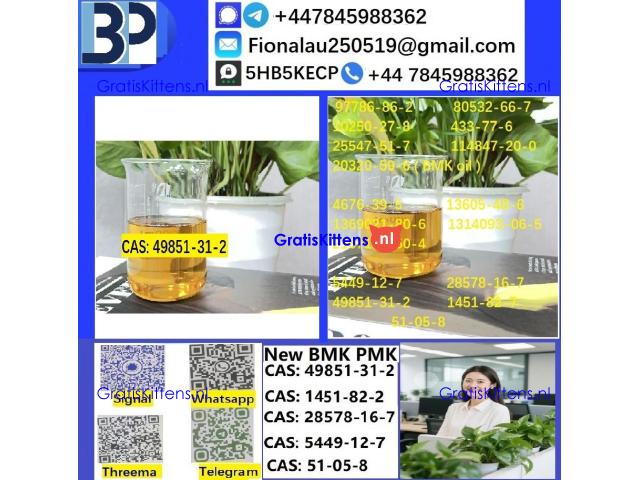 49851-31-2 B.M.K P.M.K Chemical raw materials