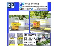 49851-31-2 B.M.K P.M.K Chemical raw materials
