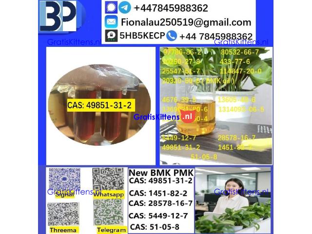 cas49851-31-2 B.M.K P.M.K Chemical raw materials