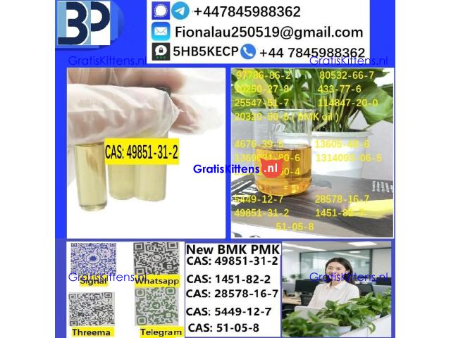 B.M.K P.M.K 49851-31-2 Chemical raw materials