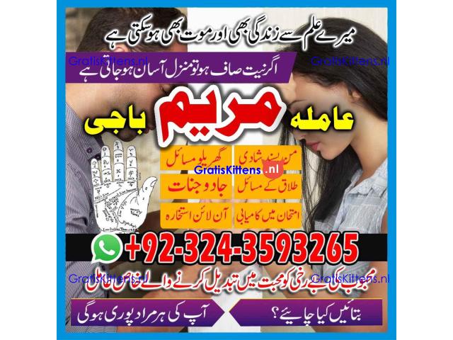 AMIL BABA black magic specialist -amil baba kala jadu