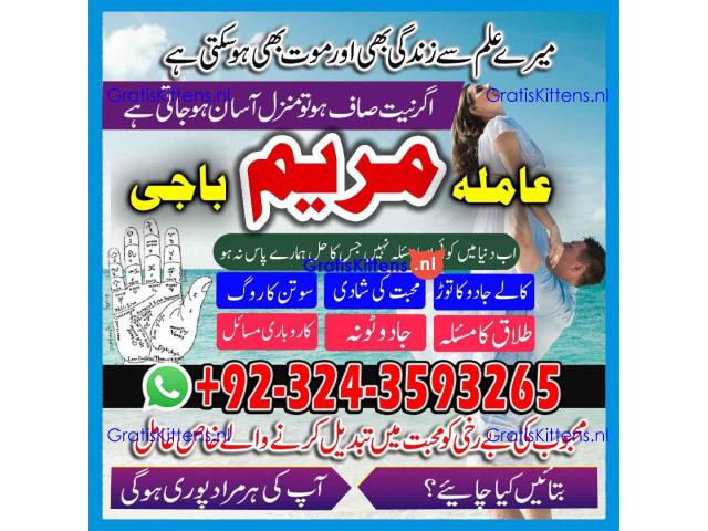 AMIL BABA black magic specialist -amil baba kala jadu
