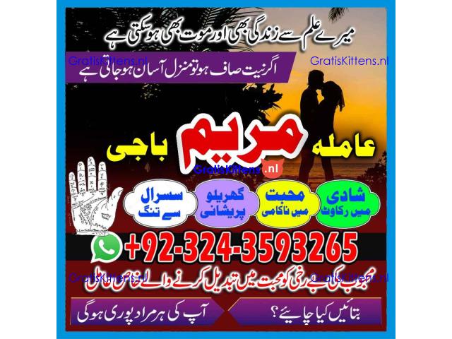 pakistans top 6 AMIL BABA kala jadu black magic specialist