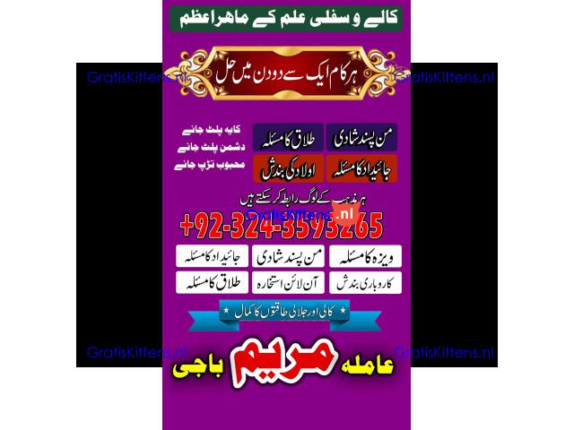 BELGIUM NO 1 amil baba kala jadu expert -amil baba ONLINE ISTAKHARA