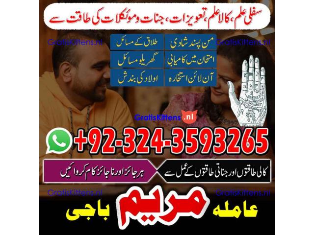 AMIL BABA black magic specialist -amil baba kala jadu