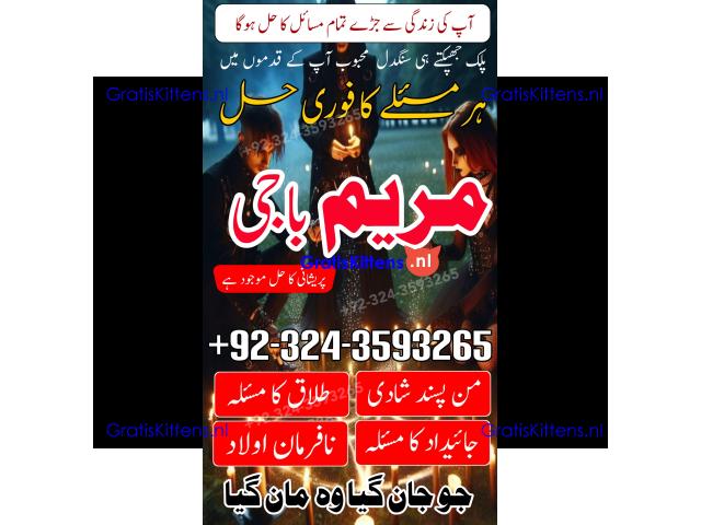 AMIL BABA black magic specialist -amil baba kala jadu