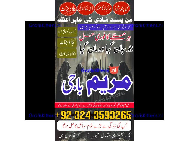 AMIL BABA black magic specialist -amil baba kala jadu