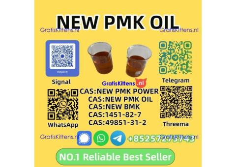 High Purity P.M.K Oil 28578-16-7 Premium Quality for Synthesis