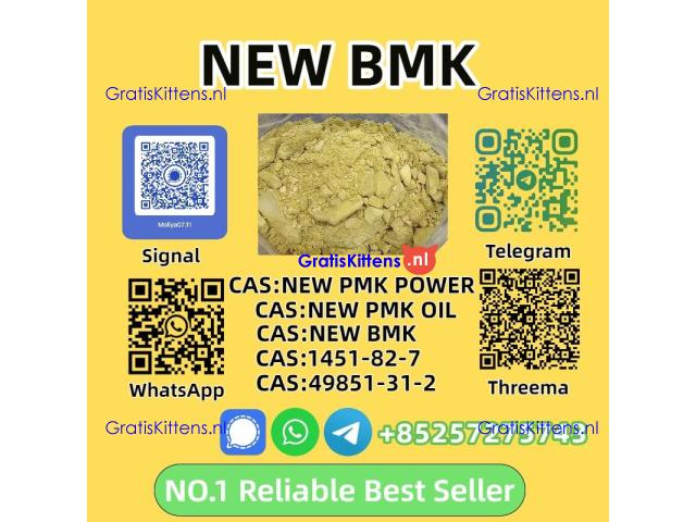 NO.1 Supplier of 1451-82-7 - 99%+ Pure - Lab Use Only