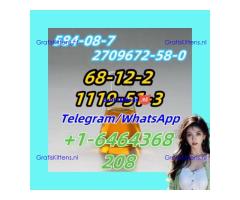 1119-51-3.1