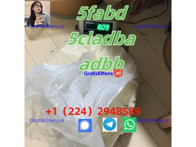 Health and Nutrition | 5cladba MDMB-5F-PINACA 5fa-db MDMB-4en-PINACA adbb 5cladb